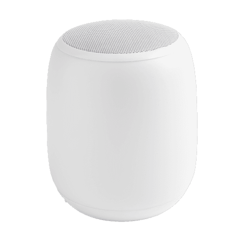 Wireless Speaker